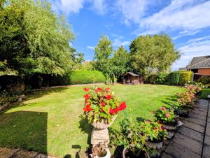 Photo 7- click for photo gallery